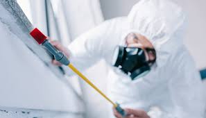 Reliable Janesville, MN Pest Control Solutions